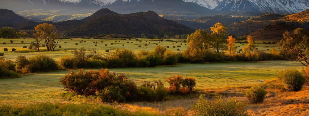 How to Capture Stunning Photography With the Camera You Already Own