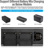 ENEGON NP-F550 Camera Battery (2-Pack,2900mAh) and Rapid Dual Slot Charger  manual- ENEGON