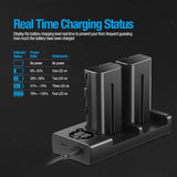 ENEGON NP-F550 Camera Battery (2-Pack,2900mAh) and Rapid Dual Slot Charger  manual- ENEGON