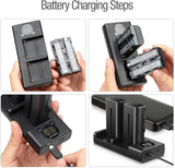 ENEGON NP-F550 Camera Battery (2-Pack,2900mAh) and Rapid Dual Slot Charger  manual- ENEGON