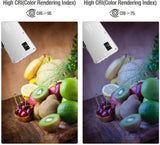 Camera/Camcorder Dimmable Bi-Color Video Light Panel  - ENEGON
